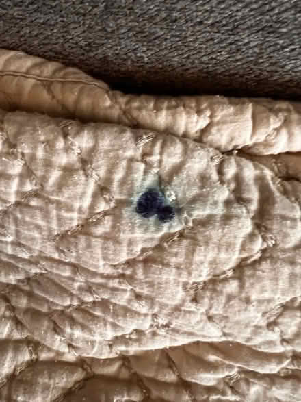 Photo of free Queen quilt and two shams (Country Club Park/Mid City) #3