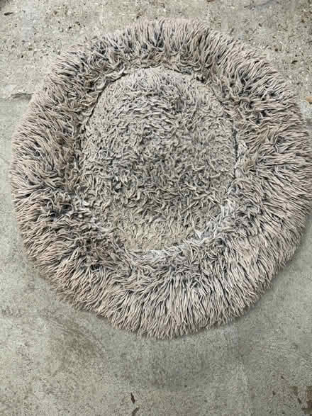 Photo of free Doughnut dog bed (Cambridge/Royston) #1