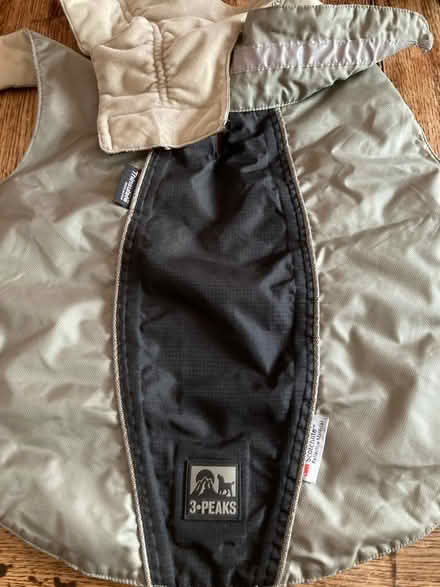 Photo of free Dog coat (RUshden NN10) #1