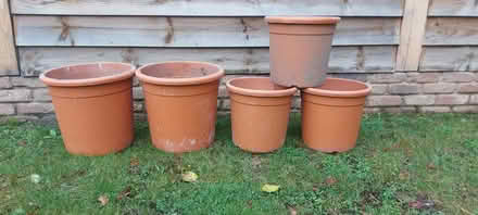 Photo of free Large plants pots (Horsham) #1