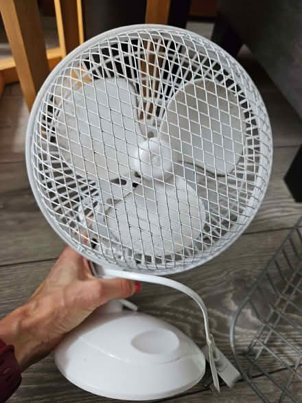 Photo of free Small desk fan (Bearton SG5) #2