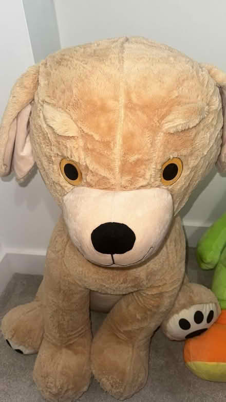 Photo of free 2 large plush bears (Stretford) #1