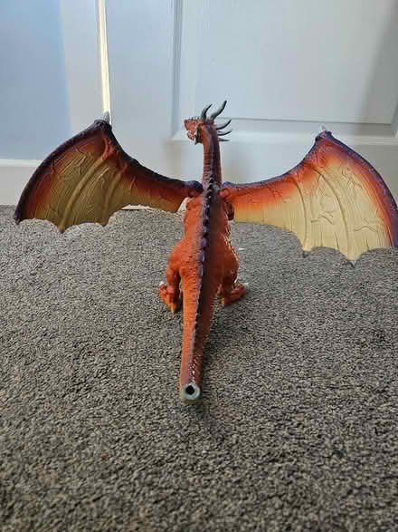 Photo of free Dragon (Dublin 9) #2