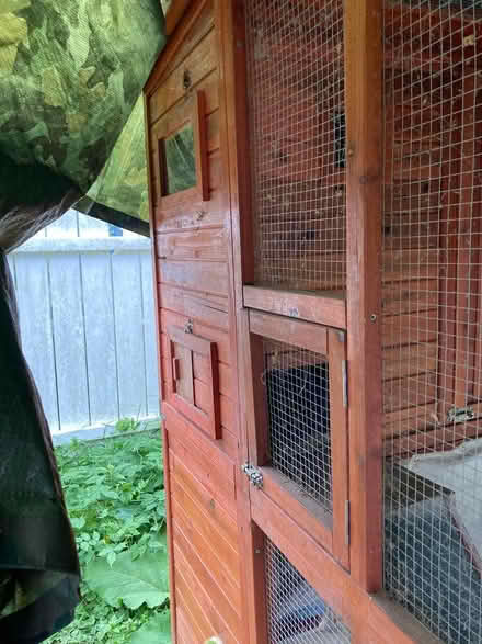 Photo of free Catio, wappingers falls village (Wappingers) #3