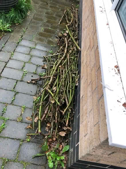 Photo of free Wood for burning (Chadderton OL9) #1