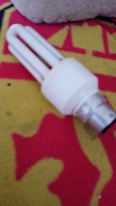 Photo of Light bulb (Fords Farm RG30) #1