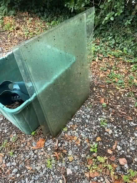 Photo of free 4 panes of glass (Henley-on-Thames RG9) #1