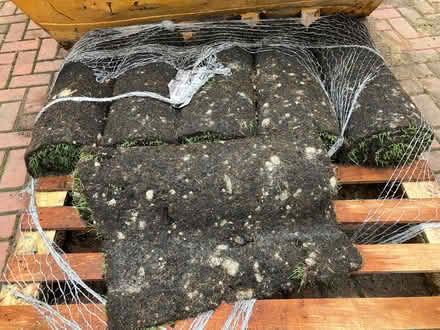 Photo of free 5 rolls + of turf (Stroud GL5) #1