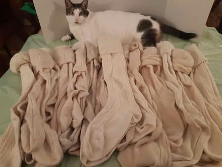 Photo of free Off white adult knee socks (North Toronto) #1