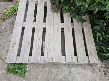Photo of free Sturdy Pallet (South Woodford E18) #2
