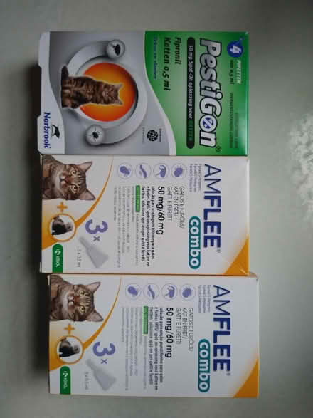 Photo of free Flea treatment for cats (Palmers Green N13) #1