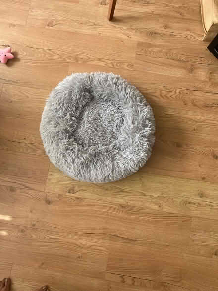 Photo of free Cat bed large new (Worcester park) #3