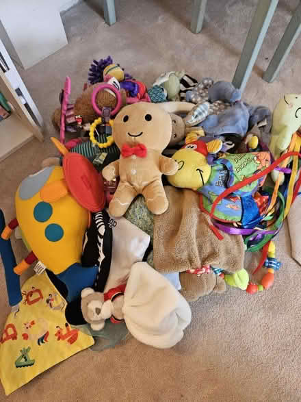 Photo of free Assorted baby toys and cuddlies (AL1) #1