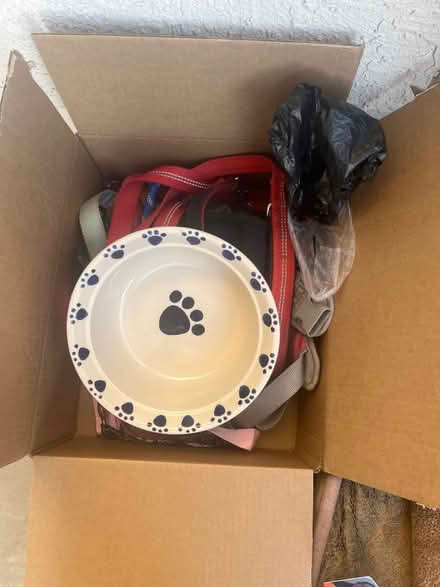 Photo of free Dog bed, food, treats, leash, etc (Florence) #2