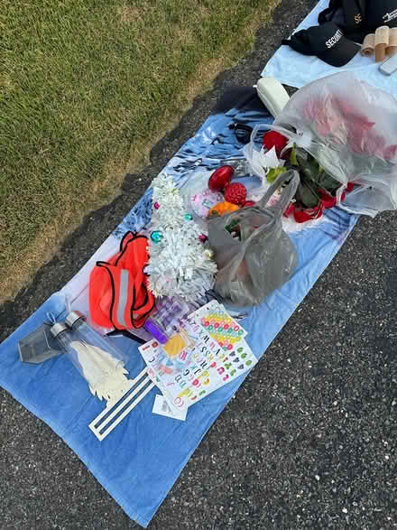 Photo of free Misc (Kaywin - Bethlehem) #1