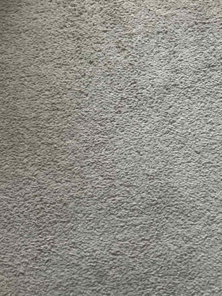 Photo of free roll of carpet (BD4) #1