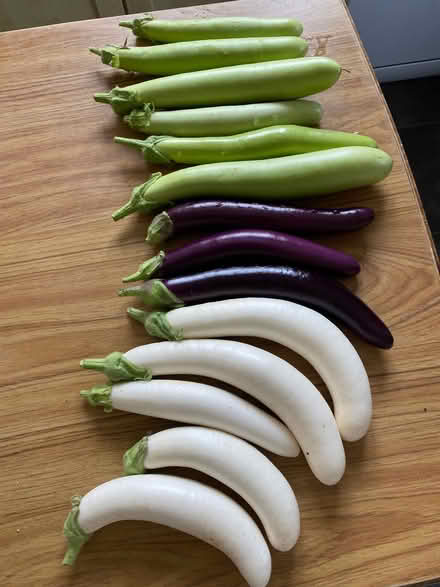 Photo of free Aubergines (Odd Down) #1