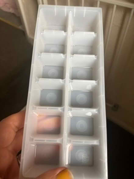 Photo of free Ice cube tray (Brentry BS10) #1