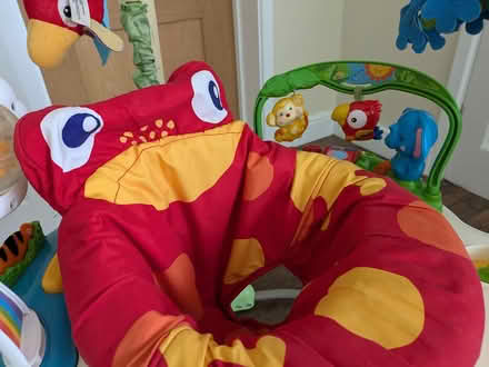 Photo of free Fisher Price rainforest jumperoo (Haywards Heath, RH16) #3