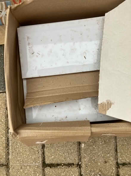 Photo of free White wall tiles (RUshden NN10) #1