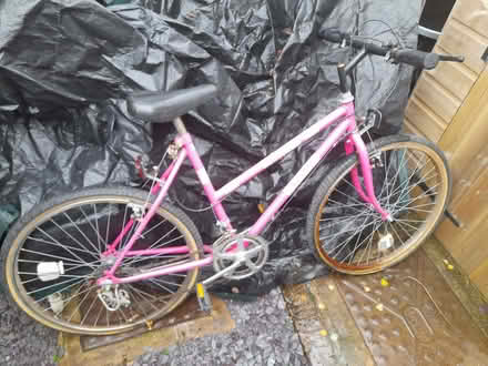 Photo of free Ladies Bike (Alveley WV15) #1