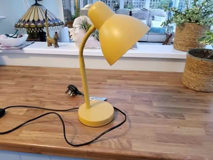 Photo of free Small angle poise lamp (Ivybridge PL21) #1