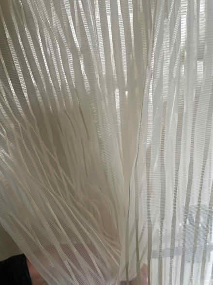 Photo of free Sheer Fabric (Stoke Newington N16) #3