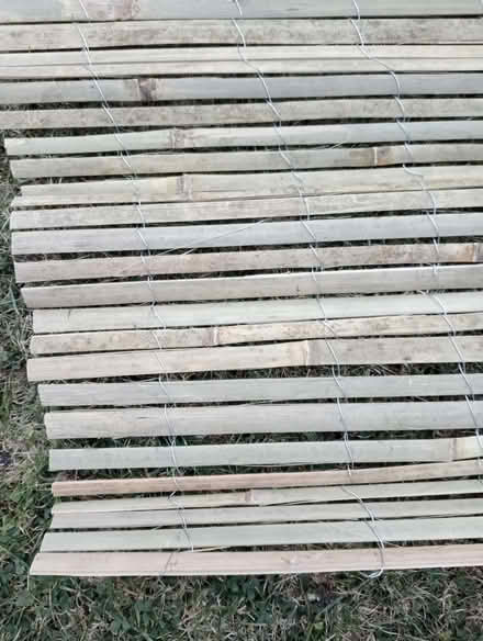 Photo of free Split bamboo screening (Clapham MK41) #2