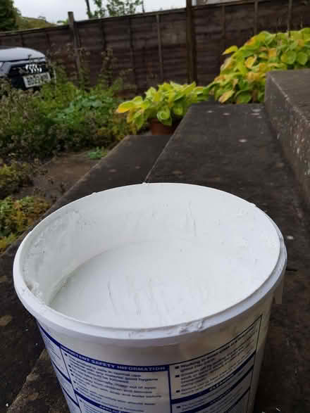Photo of free Tile Adhesive & Grout (Portishead BS20) #4