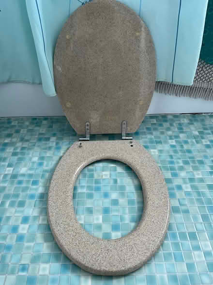 Photo of free Stone effect toilet seat (East Barnet, EN4) #2