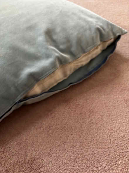 Photo of free Soft Feather Velvet Cushion (Broxbourne EN10) #2