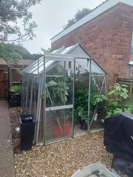 Photo of free greenhouse (Exeter area) #2