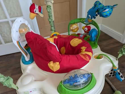 Photo of free Fisher Price rainforest jumperoo (Haywards Heath, RH16) #2