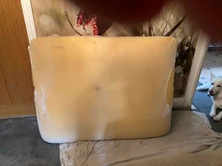 Photo of free Foam cushion (Borstal ME1) #1