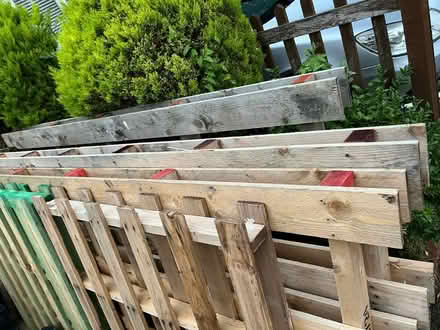 Photo of free wooden pallets (SM2) #1