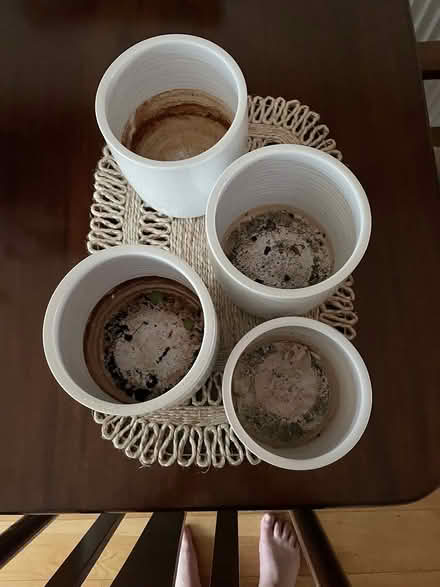 Photo of free Ceramic Plant Pots (Sunbury TW16) #1