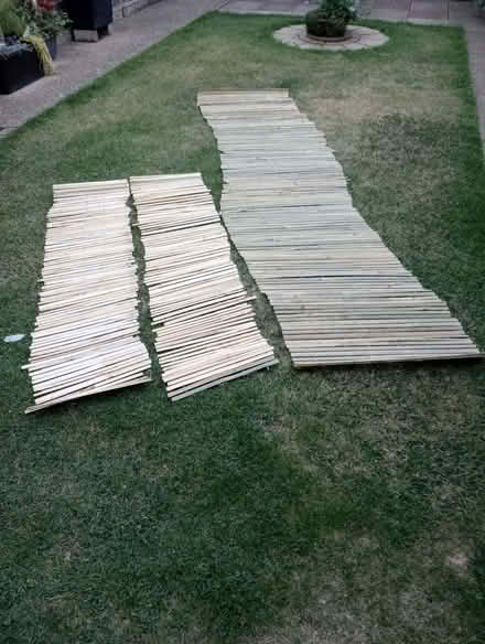 Photo of free Split bamboo screening (Clapham MK41) #1