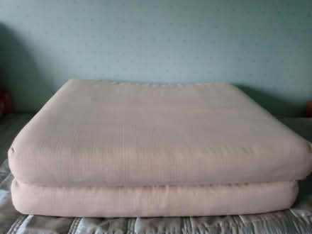 Photo of free 2 Large Foam Beige Cushions Whitwick (Whitwick LE67) #2