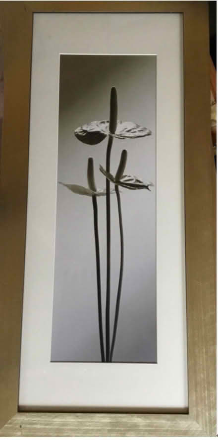 Photo of free Two large pictures. 12 x 30 inches each (Stretton DE55) #2