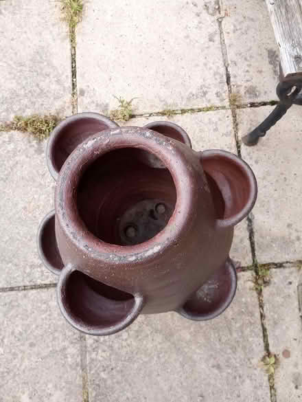 Photo of free plant pot lots of sections (Folksworth, Peterborough) #3