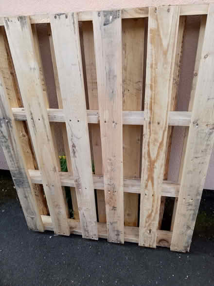 Photo of free New pallet (Royal Leamington Spa CV31) #1