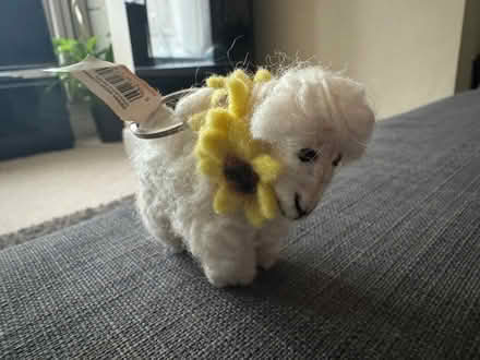 Photo of free Small sheep keyring (Fairfield LA1) #1