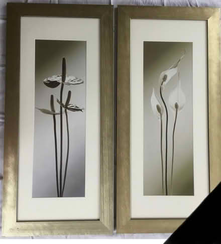 Photo of free Two large pictures. 12 x 30 inches each (Stretton DE55) #1