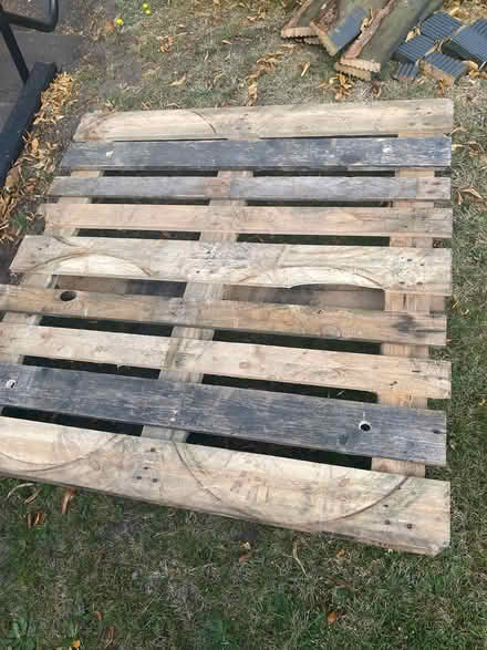 Photo of free Large pallet great for upcycle (NG5) #1