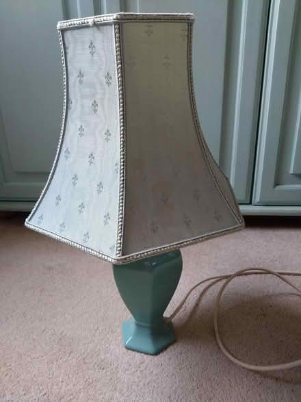 Photo of free Lamp (Leigh, Surrey, RH2) #1