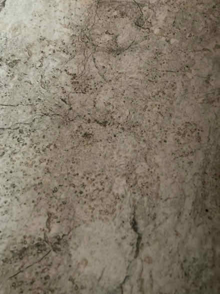 Photo of free Floor tile (RUshden NN10) #3