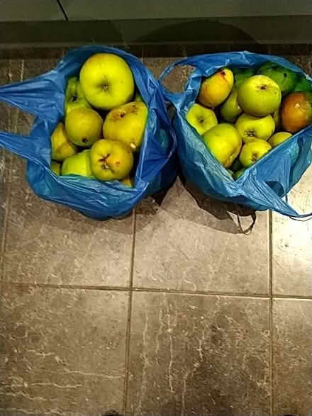 Photo of free Apples (Poets MK40) #1