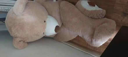 Photo of free Massive Teddy Bear 🧸 (Mitcham CR4) #1