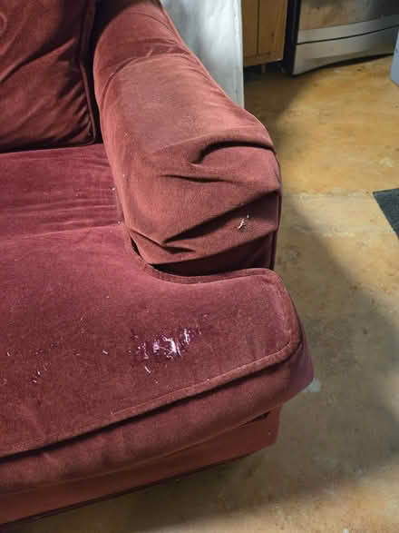 Photo of free Love Seat (Takoma Park, MD) #1