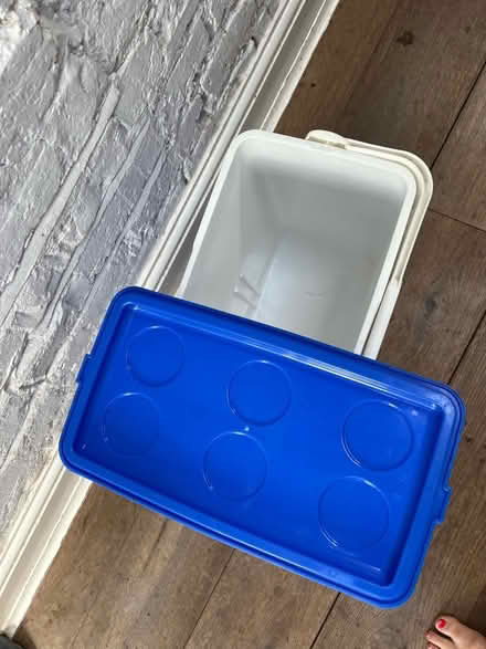 Photo of free Cool box (Teddington TW11) #2